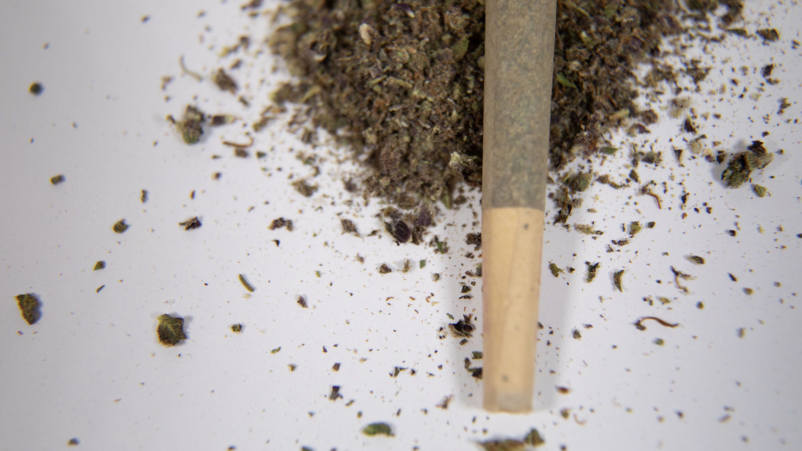 What Your Grinder Says About Your Smoking Style